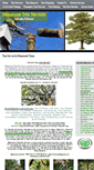 Mobile Screenshot of beaumonttreeservice.net